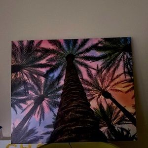 Hanging palm tree canvas🌴I love it but I wanna change the theme of my room!